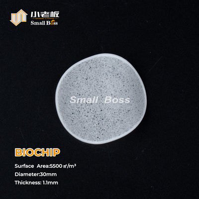 kopen White Color Mbbr Filter Media with Virgin HDPE Material Ras Biochip online manufacture