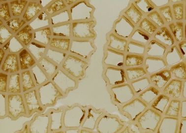 kopen High Speed Delivery Aeration Technology MBBR Carrier Biochips Gemeentelijke waterbehandeling online manufacture