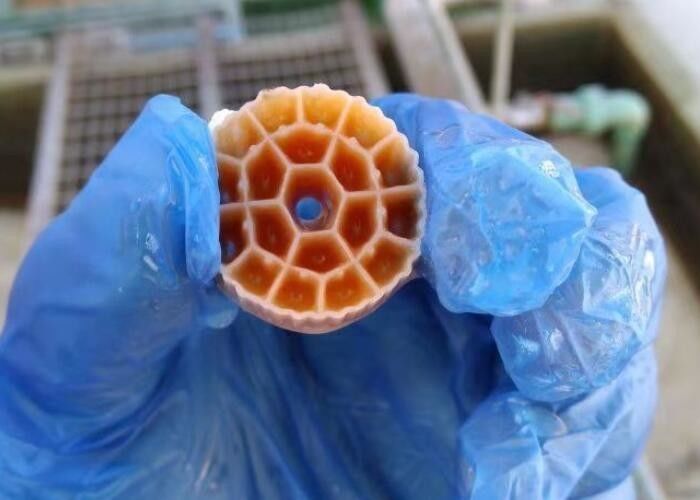 Zwart maagdelijk HDPE materiaal MBBR Plastic Filter Media Voor Aquarium 25mm X 12mm