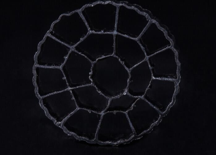 HDPE materiaal PE06 Bio Media, MBBR Filter Media 25mm X 12mm Kleurrijk