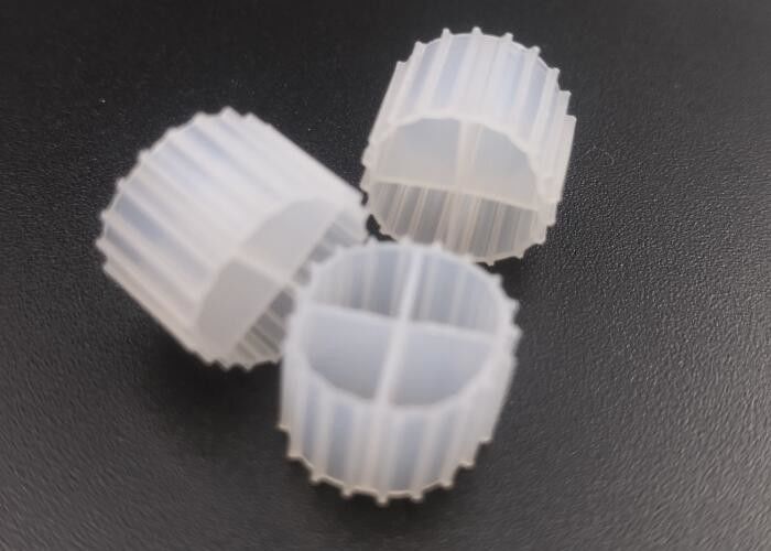 Biocell Biocell Biocell Biocell Biocell Biocell Biocell