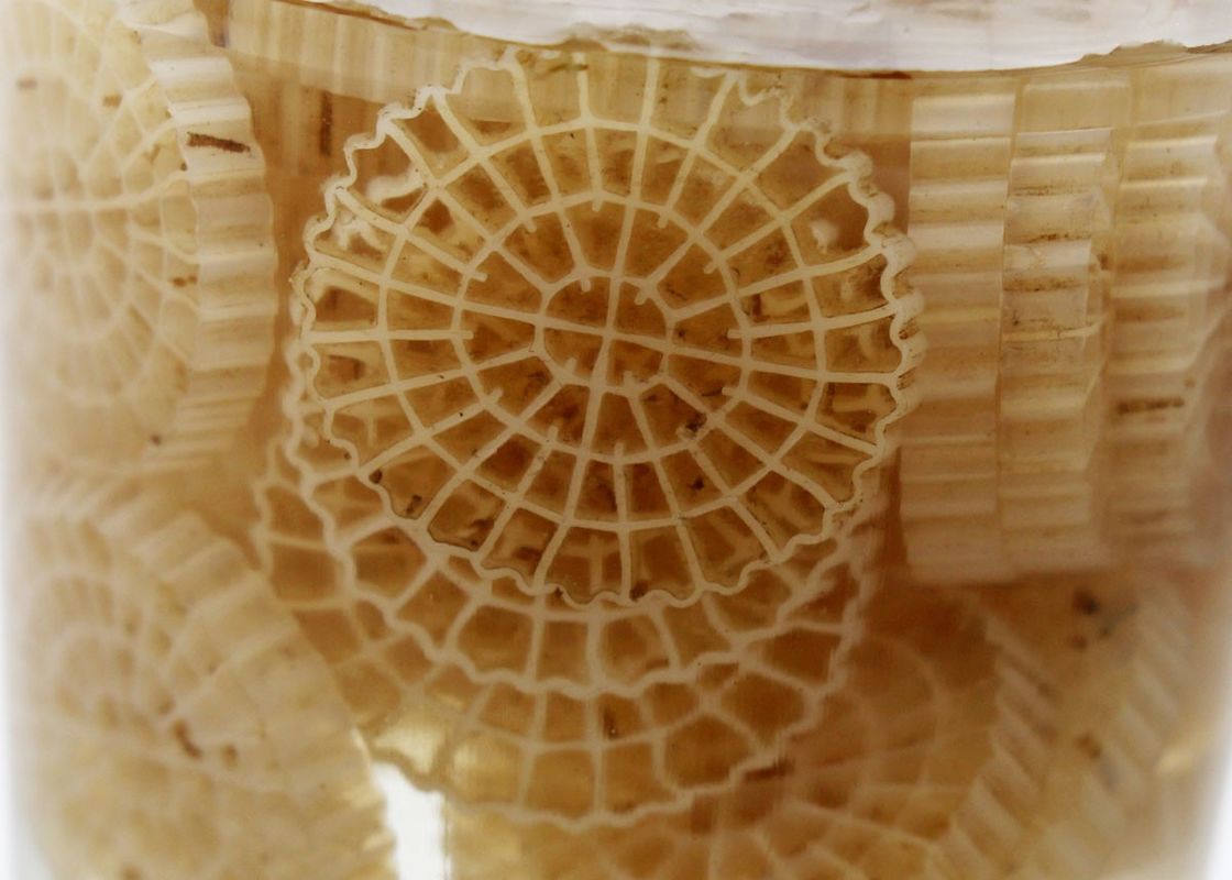 hdpe k5 kaldnes plastic aquariumtoebehoren biobollen media biopipe voor waterbehandeling